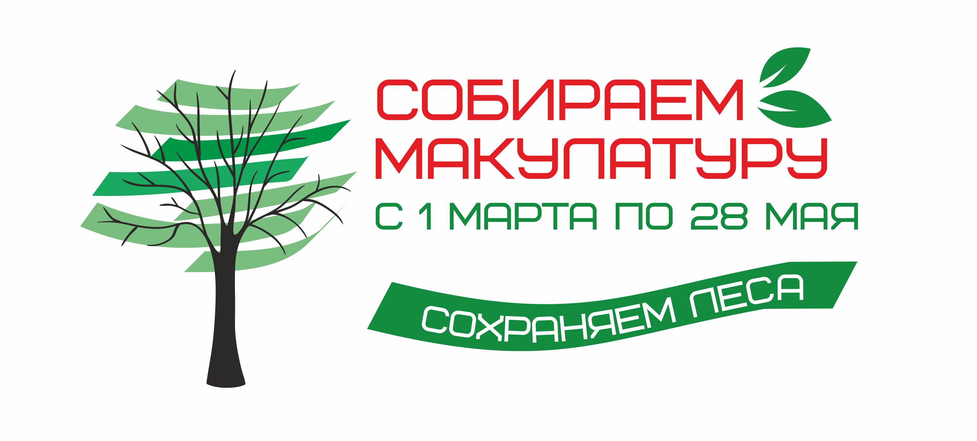 Проект по сбору макулатуры